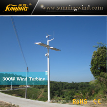 Residential Wind Generator 300W Wind Turbine Monitoring Use